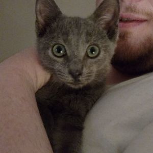 Meet your Posher, Whitney